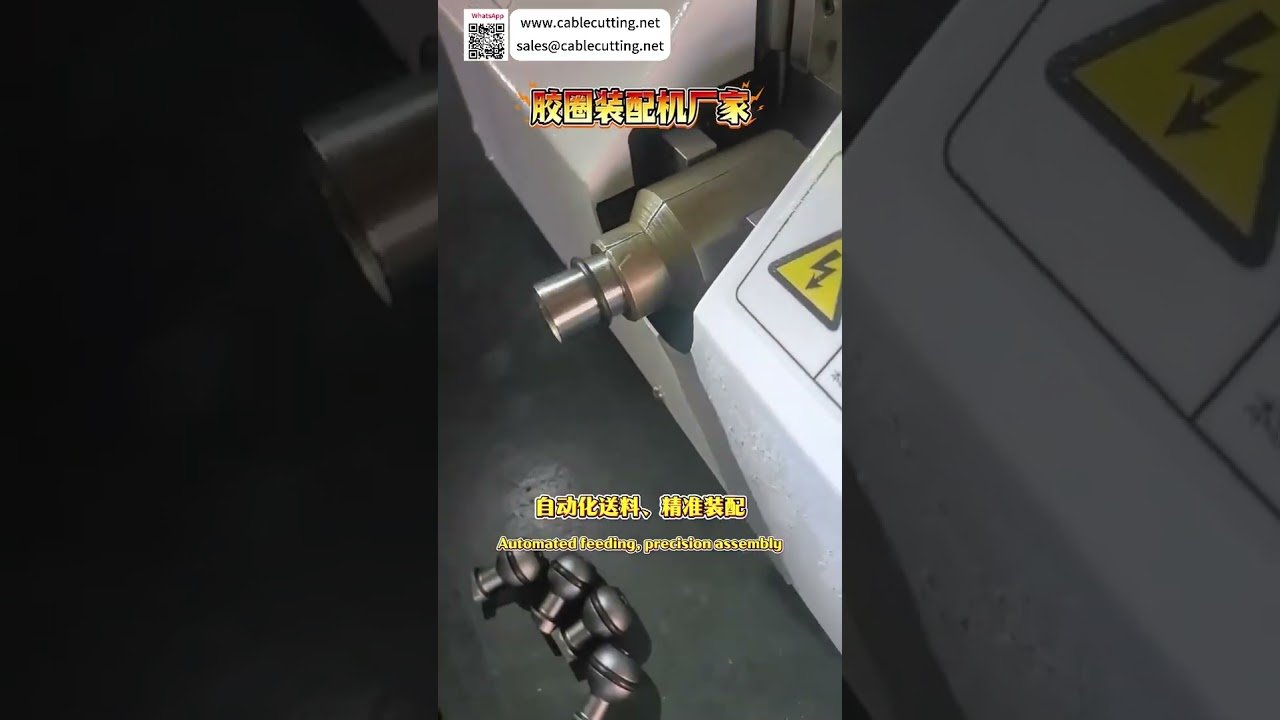 Máquina de Montagem de Anéis de Borracha de Alta Precisão | Equipamento Automatizado para Fabricação Personalizada