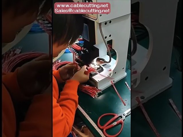 Amostra Grátis - Terminal Macho Tipo Garfo Azul Pré-Isolado para Crimpagem