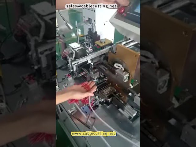 Máquina Automática de Estanhamento por Imersão de Cabeça Dupla - Modelo 2