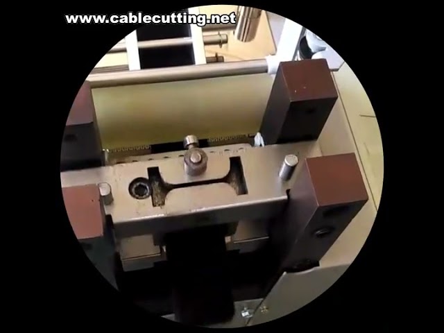 Cortadeira Elétrica Automática de Fita com Lâmina Circular - Corte Reto Industrial