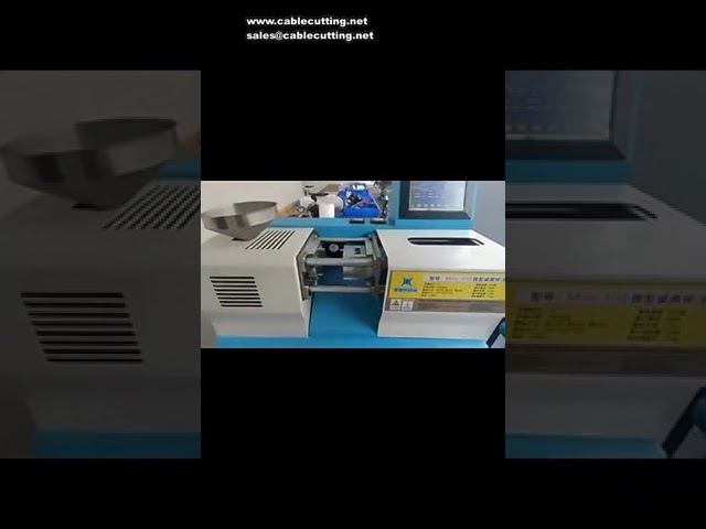 Máquina de Injeção de Plástico Desktop 2T Mini 220 - 1KW, 220V, Curso 150mm para Prototipagem e Processamento