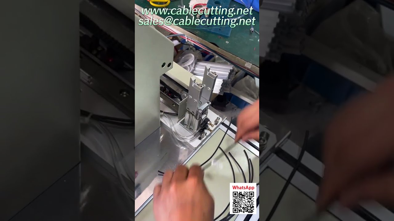 Máquina de Aplicação de Etiquetas com Dobragem Servo-Assistida | Demonstração em Oficina