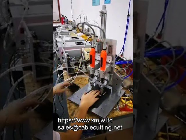 Máquina de Aperto Automático de Parafusos com Eixo Z e Alimentação Automática OEM