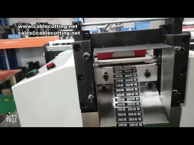 Máquina Automática de Corte Semi-Fragmentado para Espuma e EVA | Fatiadora com Alta Precisão