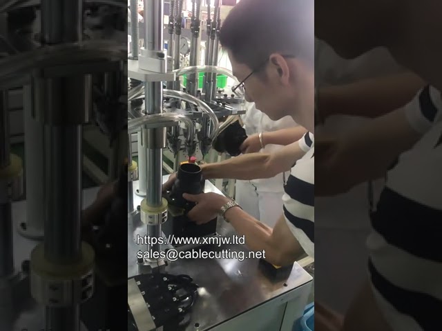 Máquina Automática de Aparafusamento Multi-Eixo com Sopro de Ar - Eixo Fixo, Estação Única