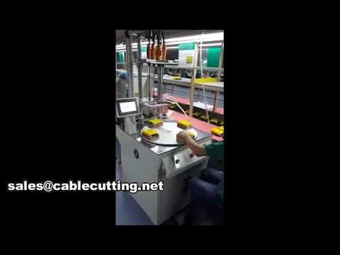 Máquina Automática de Rosqueamento de Parafusos WPM-803 - Precisão e Eficiência